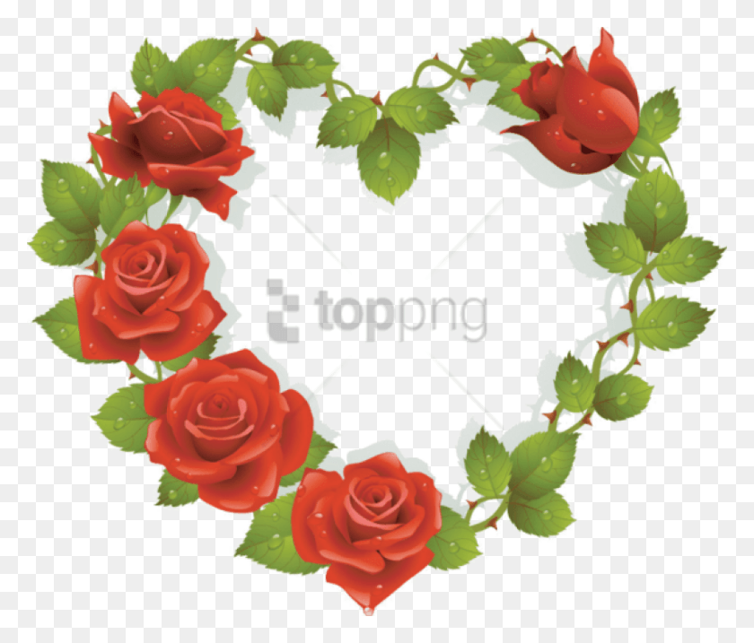 850x717 Png Coeurtube Красивая Роза, Цветок, Растение, Цветение Hd Png
