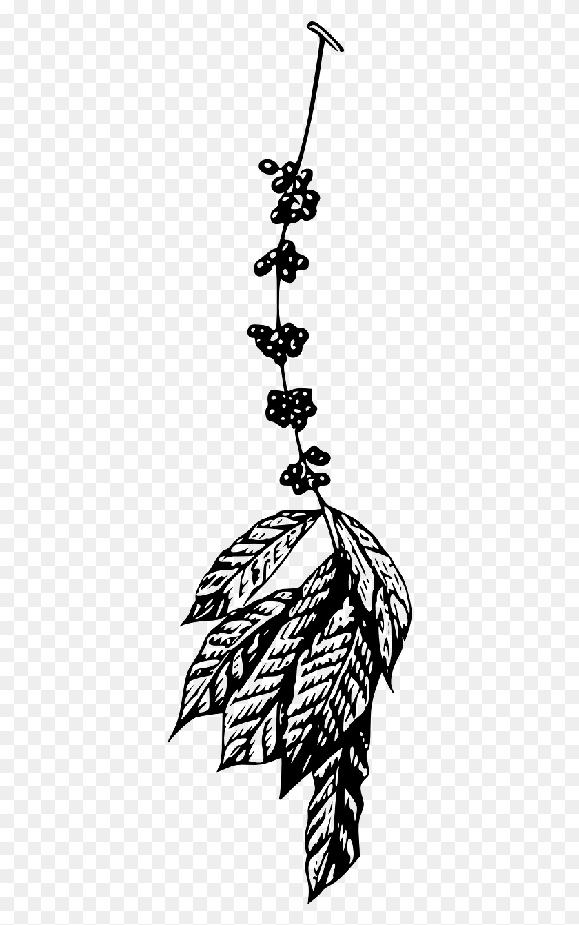 360x1281 Free Coffee Plant Clipart, Gray, World Of Warcraft HD PNG Download