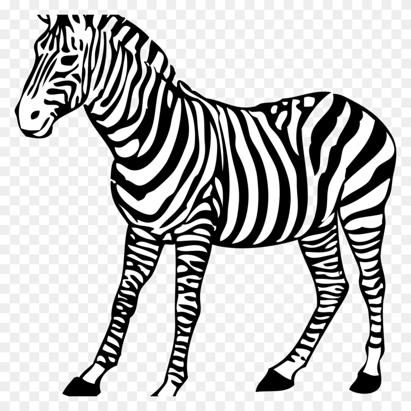 1150x1150 Free Coloring Book Colouring Pages Baby Zebra Zebra Clipart Black And White, Wildlife, Mammal, Animal HD PNG Download