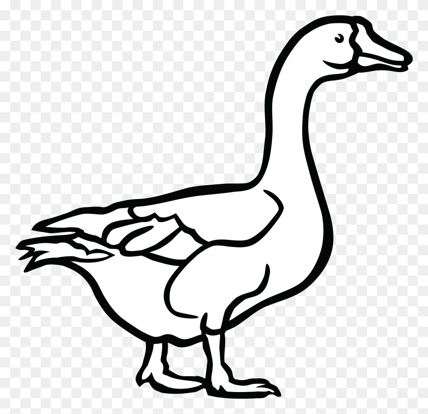 4000x3853 Free Cool Duck Clipartxtras For Ifm Goose Black And White Clip Art, Bird, Animal, Antelope HD PNG Download