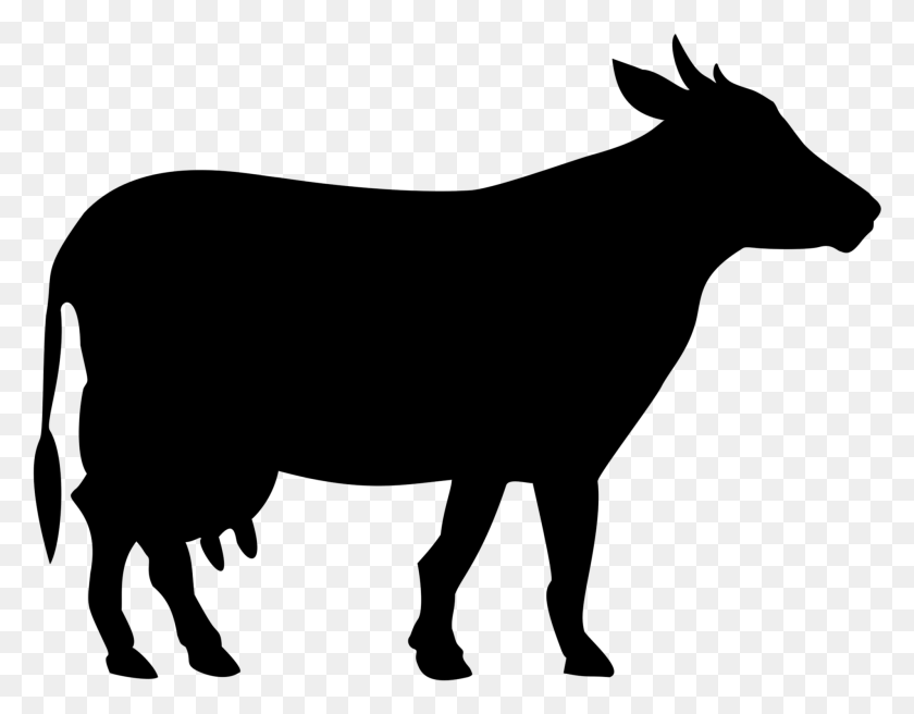 1905x1458 Free Cow Siluete Black Images Background Black Cow Cut Out, Gray, World Of Warcraft HD PNG Download