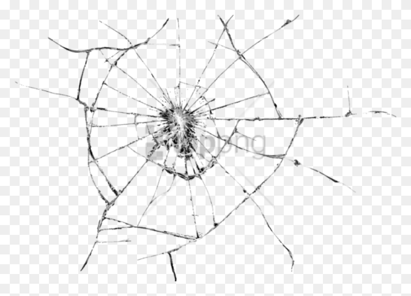 850x594 Free Cracked Phone Screen Transparent Image Cracked Phone Screen Transparent, Spider, Invertebrate, Animal HD PNG Download
