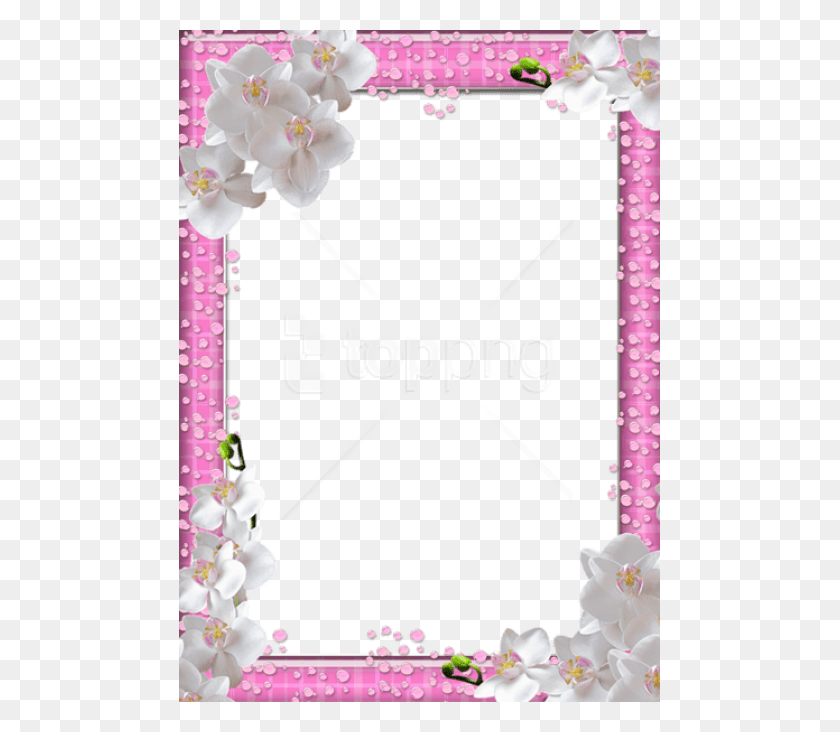 481x672 Free Cute Pink Photo Frame With White Flowers Pink Photo Frame, Plant, Flower, Blossom HD PNG Download