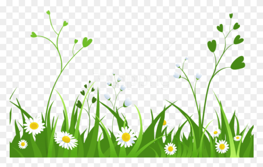 851x515 Free Daisies With Grasspicture Images Transparent Nature Clipart Transparent Background, Graphics, Floral Design HD PNG Download