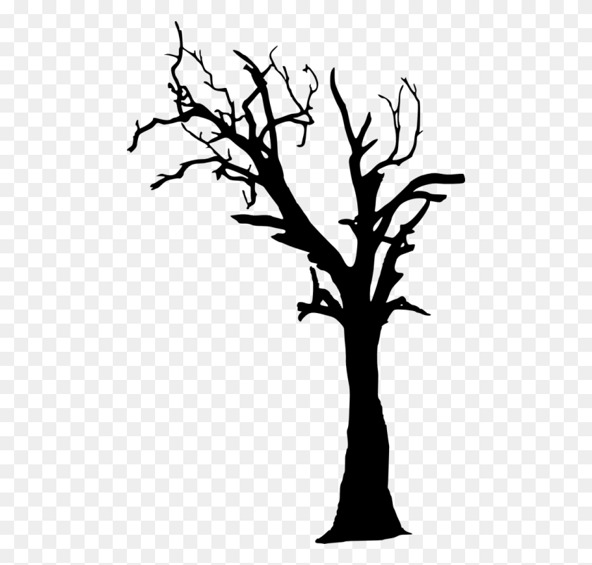 480x743 Free Dead Tree Silhouette Images Transparent Dead Tree Silhouette, Tree, Plant HD PNG Download