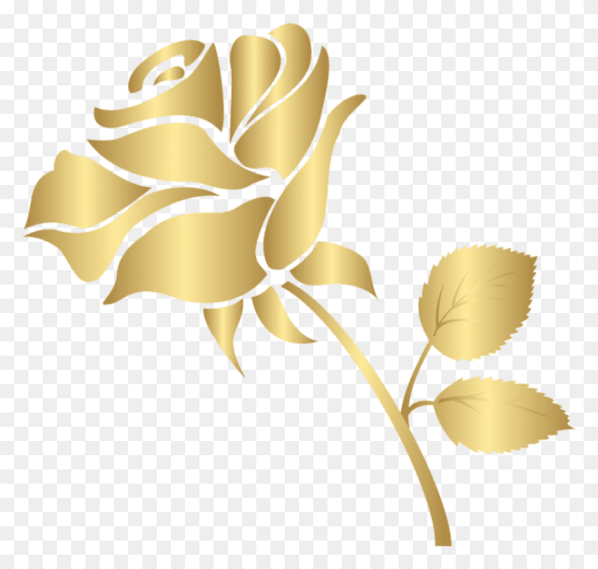 837x795 Png Декоративная Золотая Роза Золотая Роза, Лист, Растение, Графика Hd Png