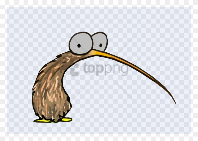 850x588 Descargar Png Derpy Kiwi Bird, Animal, Anfibio, Vida Silvestre Png
