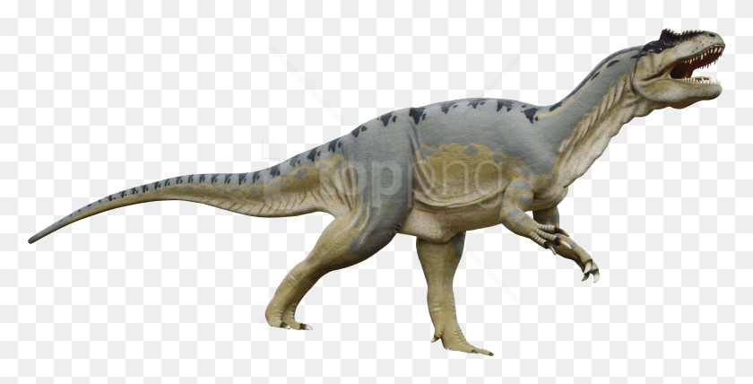 780x368 Динозавр, Рептилия, Животное, Динозавр Png Скачать Бесплатно