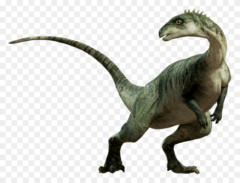 850x631 Descargar Png Dinosaurio De Pie Imágenes De Fondo Caminando Con Dinosaurios Parksosaurus, Reptil, Animal, T-Rex Hd Png