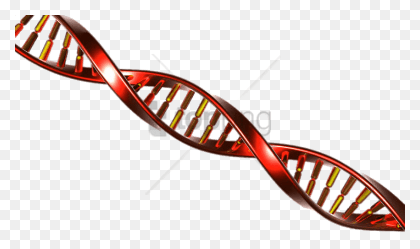 850x479 Free Dna String Red And Yellow Image With Transparent Adn String, Roller Coaster, Amusement Park, Coaster HD PNG Download