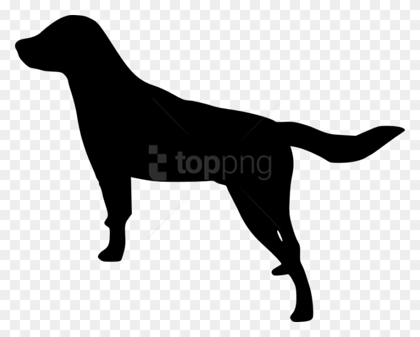 850x670 Silueta De Perro Png / Silueta De Perro Hd Png