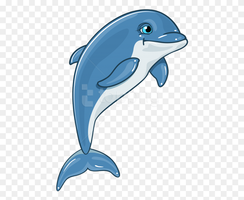 456x631 Png Дельфин, Млекопитающее, Морская Жизнь, Животное