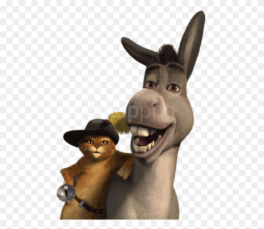480x668 Free Donkey Images Transparent Shrek Puss In Boots And Donkey, Mammal, Animal, Snout HD PNG Download