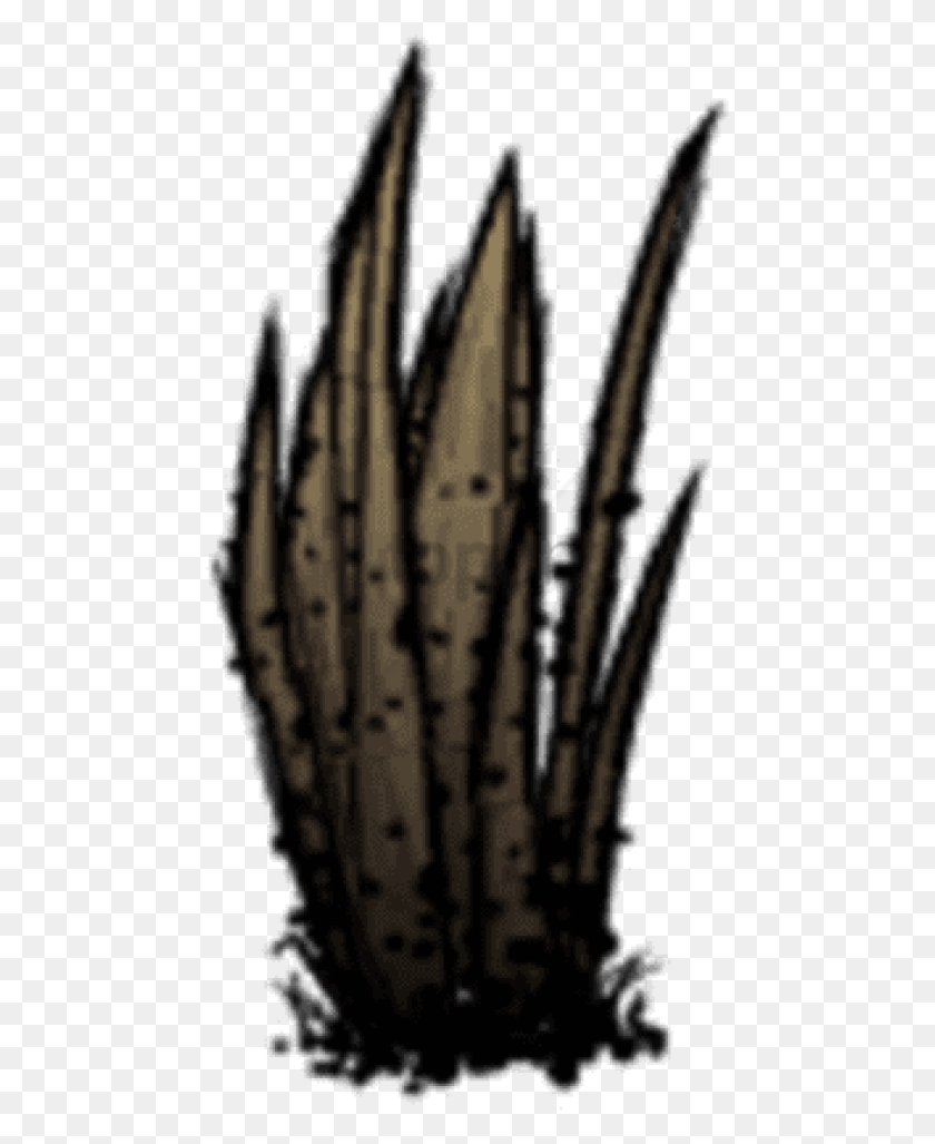 471x967 Free Dont Starve Grass Image With Transparent, Plant, Cactus HD PNG Download