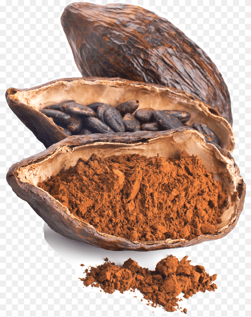 808x1062 Download Cacao Bean, Cocoa, Dessert, Food Transparent PNG