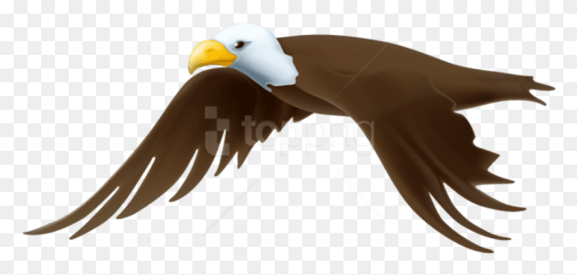 845x370 Free Eagle Transparent Images Background Transparent Background Bald Eagle Clip Art, Beak, Bird, Animal HD PNG Download