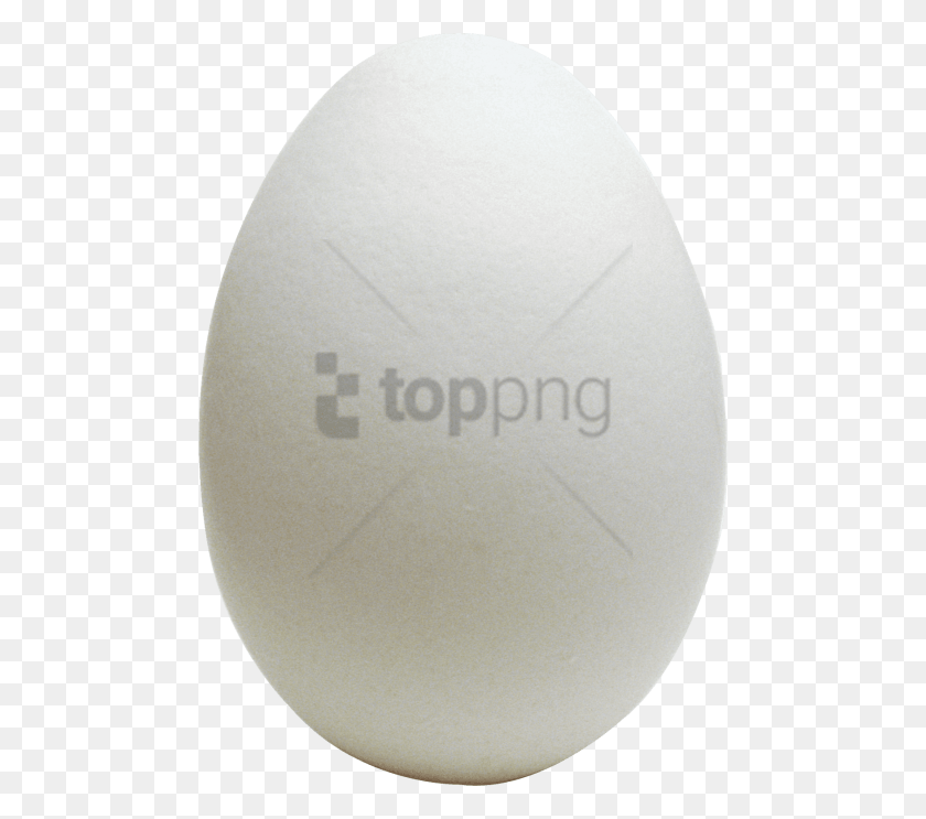 480x683 Descargar Png / Huevo De Pascua Png