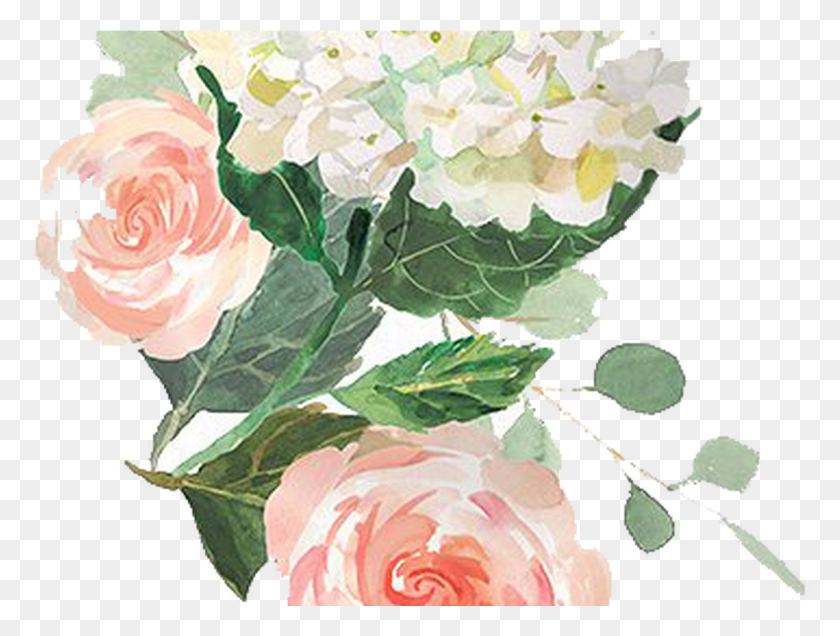 1159x856 Free Elegant Watercolor Flowers Twitter Background Watercolor Rose Transparent Background, Plant, Flower, Blossom HD PNG Download