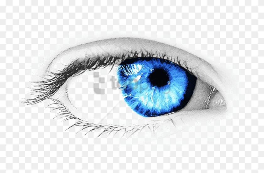 850x536 Free Eye Psd Image With Transparent Background Blue Eye With Transparent Background, Contact Lens HD PNG Download