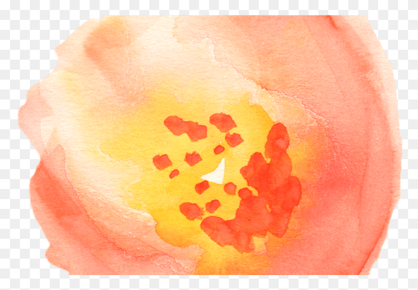 1276x856 Бесплатные Осенние Акварельные Цветочные Картинки Так Красиво Бесплатная Акварельная Живопись, Растение, Цветок, Цветение Png Скачать