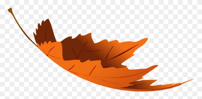 827x373 Free Falling Autumn Leaf Transparent Clipart Falling Fall Leaves Transparent, Plant, Maple Leaf HD PNG Download