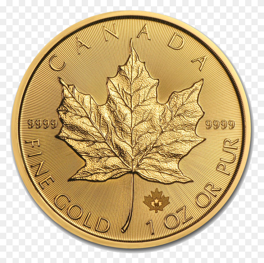 834x830 Free Falling Gold Coins, Leaf, Plant, Coin HD PNG Download