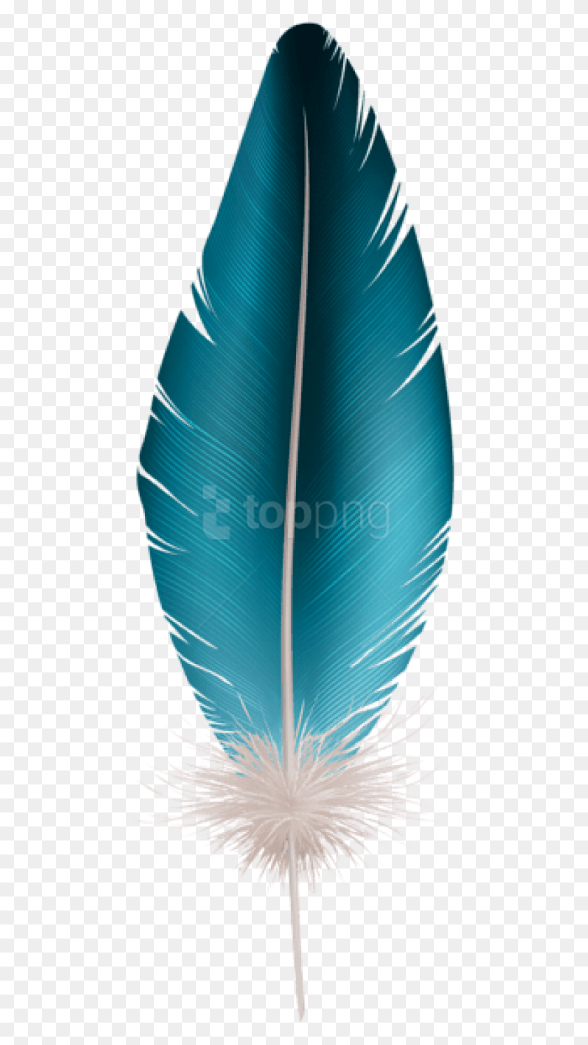 462x1432 Descargar Png Pluma Azul Png, Hoja, Planta, Botella Hd Png