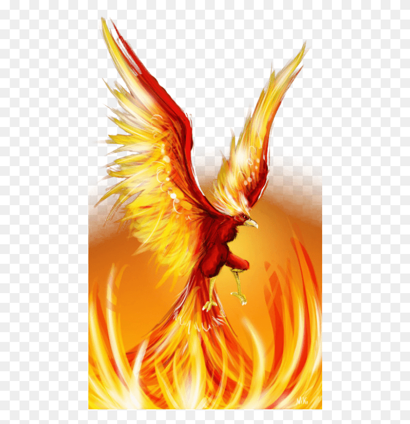 480x808 Png Огненный Феникс Птица Огненный Феникс, Костер, Пламя, Животное, Hd Png