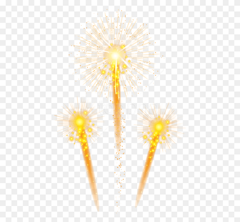 465x716 Free Fireworks Dandelion, Nature, Outdoors, Plant HD PNG Download