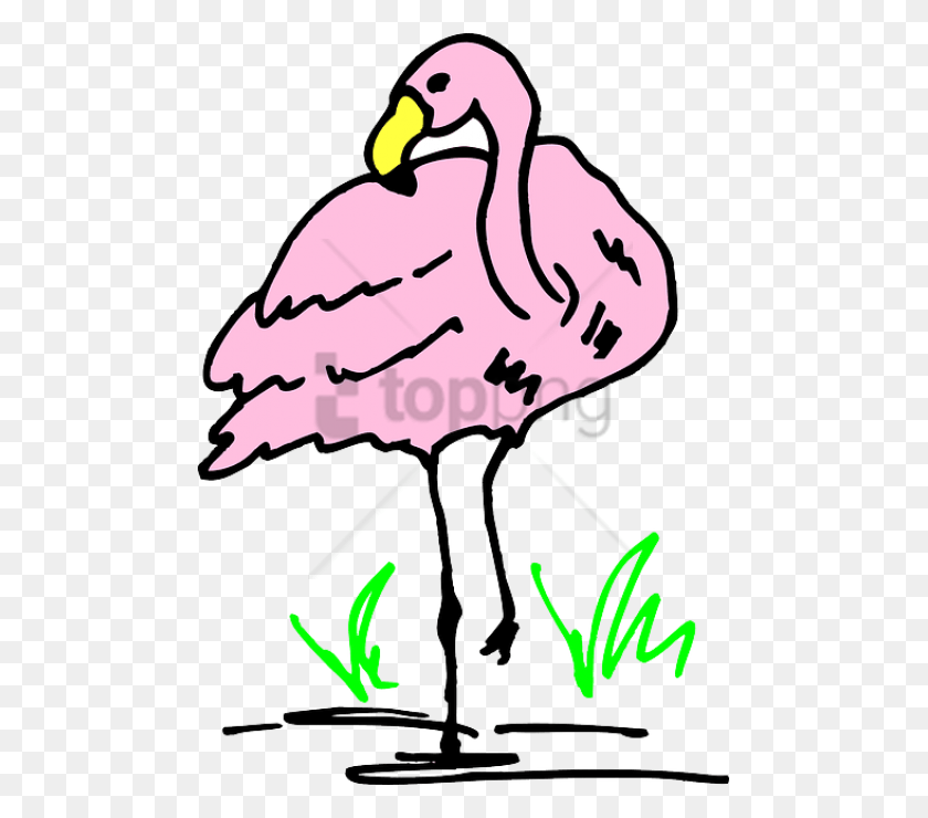 481x680 Free Flamingo Cartoon Images Background Clip Art, Animal, Bird, Hand HD PNG Download