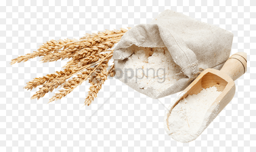 850x478 Free Flour Image With Transparent Background Flour Top View, Plant, Food, Vegetable HD PNG Download