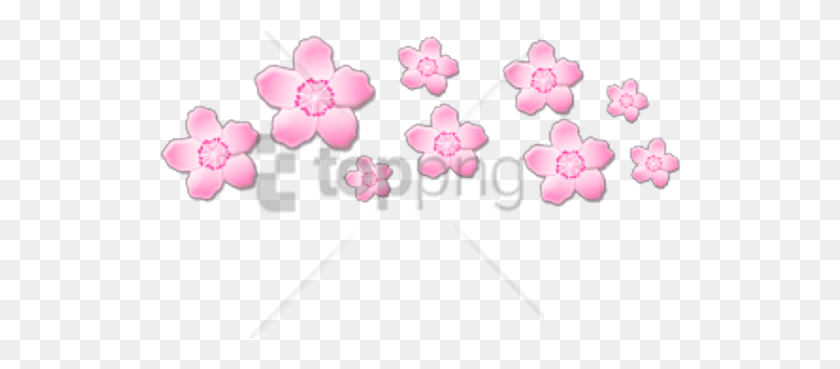 522x309 Free Flower Crown Tumblr Image With Transparent Soft Aesthetic Transparent, Plant, Blossom, Cherry Blossom HD PNG Download