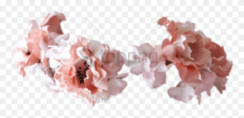 814x364 Free Flower Crown Tumblr Images Transparent Garland, Plant, Blossom, Carnation HD PNG Download