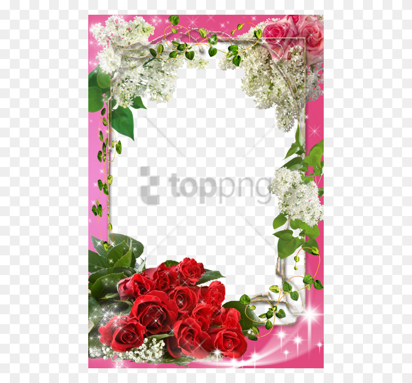 480x720 Free Flower Frame Photoshop Image With Transparent Google Frame For Photoshop, Plant, Flower, Blossom HD PNG Download