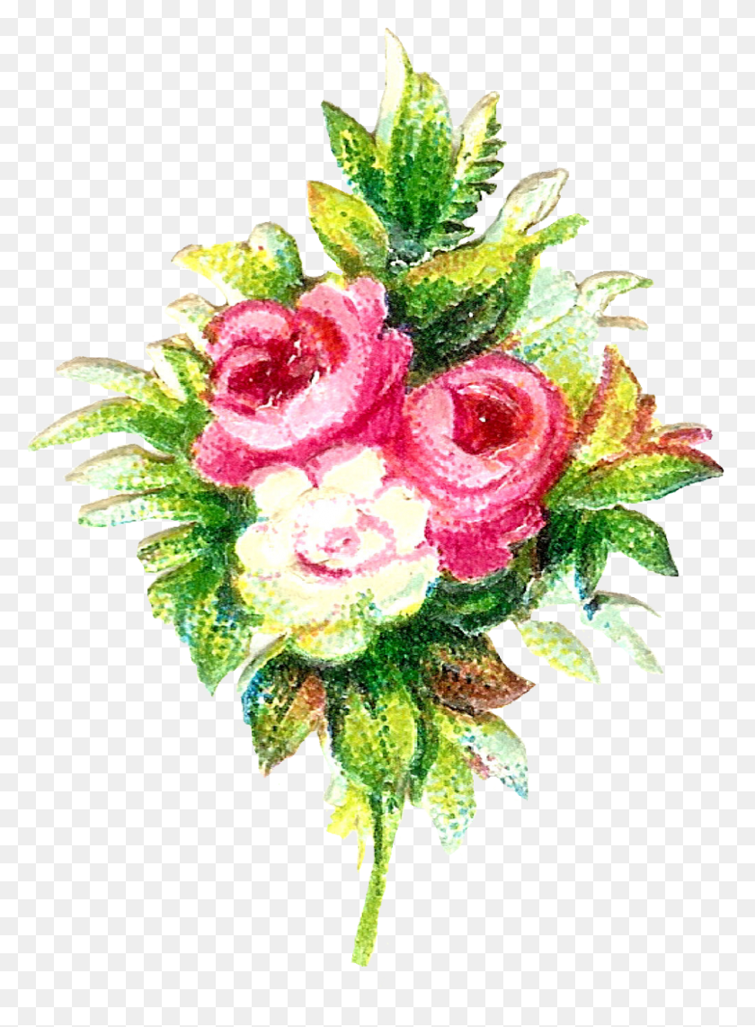 989x1372 Цветочная Графика Флорес Рустико, Растение, Цветение, Букет Цветов Png Скачать