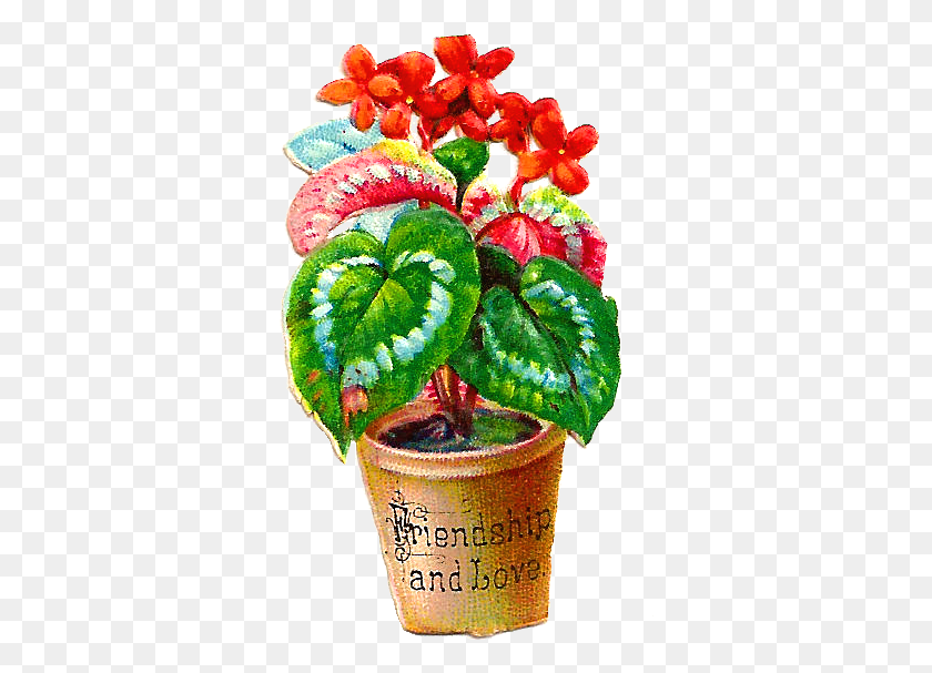 338x547 Png Цветочный Горшок, Растение, Лист Hd Png