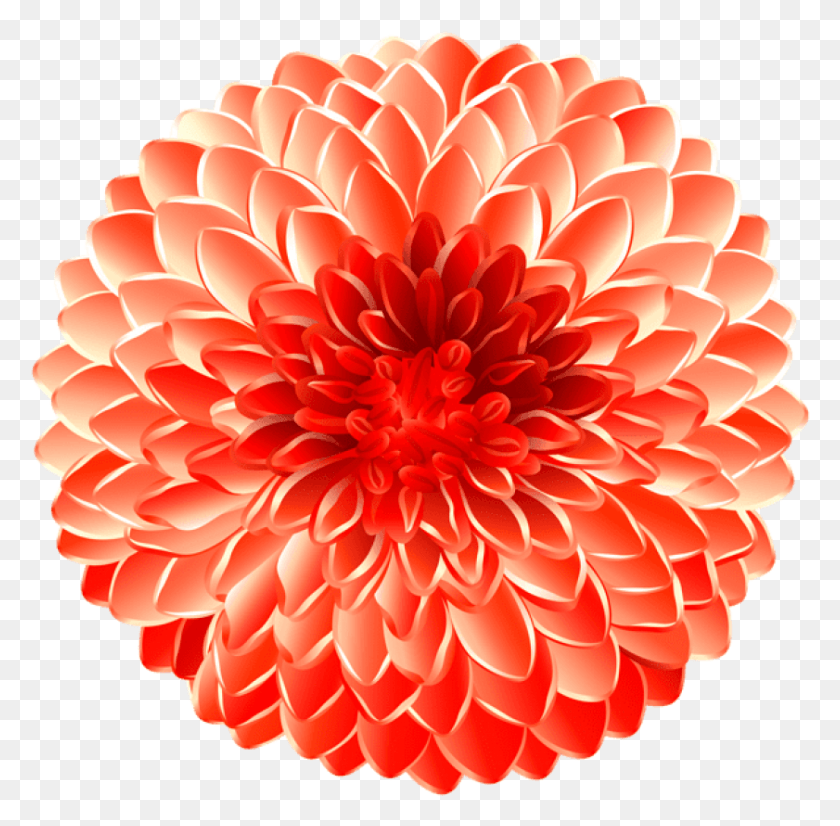 841x826 Free Flower Transpa Images Background Images Portable Network Graphics, Dahlia, Plant, Blossom HD PNG Download