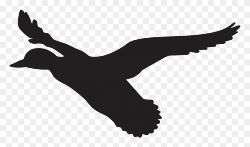 845x471 Free Flying Duck Silhouette Flying Duck Silueta, Brazo, Mano, Animal Hd Png