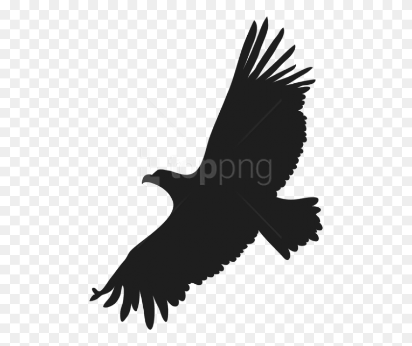 480x646 Free Flying Eagle Black Birds Fly Clipart, Bird, Animal, Blackbird HD PNG Download