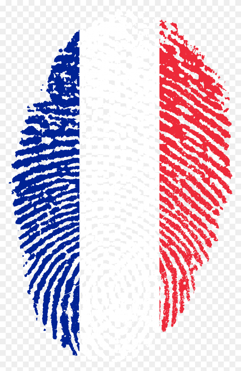 1573x2488 Free France Flag Fingerprint Images Kuwait Flag Fingerprint, Rug, Text HD PNG Download