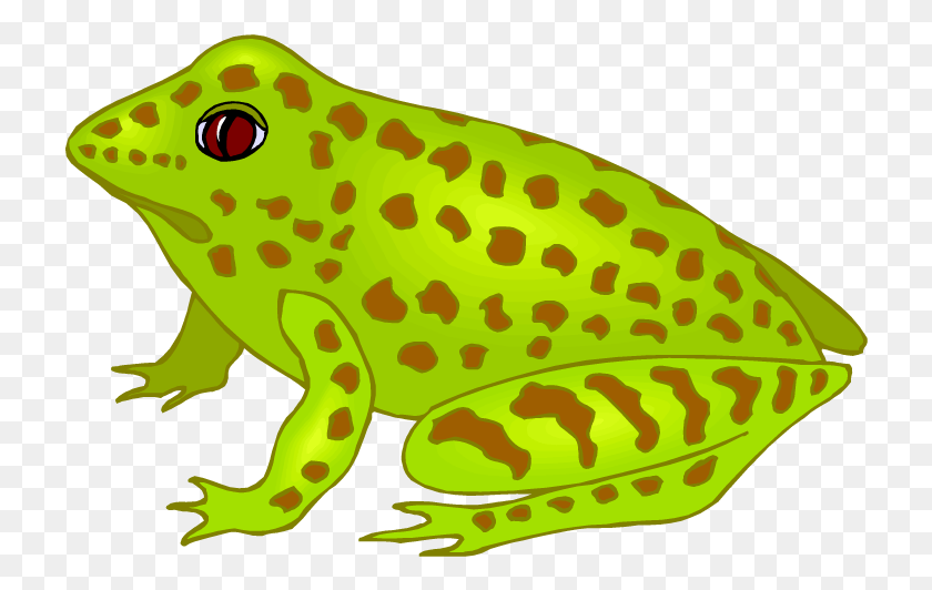 724x472 Free Frog Clipart Adult Frog Clip Art, Amphibian, Wildlife, Animal HD PNG Download
