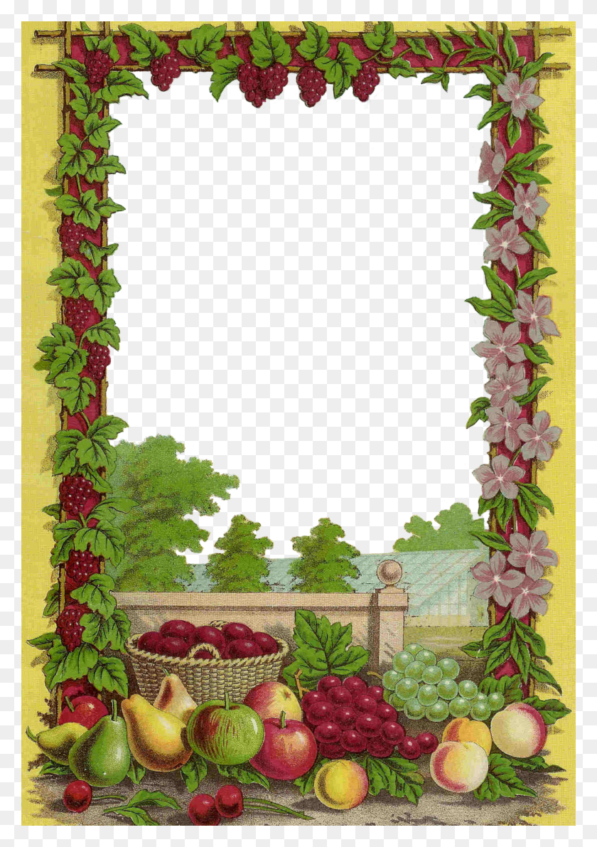 1034x1500 Free Fruit Clip Art Decorative Frame From Fruits Borders And Frames, Plant, Flower, Blossom HD PNG Download
