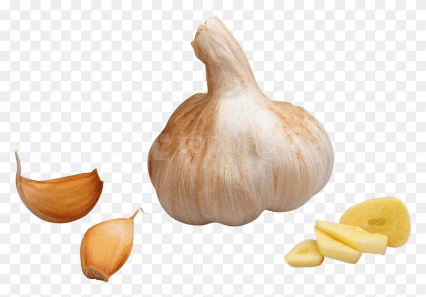 850x573 Free Garlic Images Background Diente De Ajo, Plant, Vegetable, Food HD PNG Download