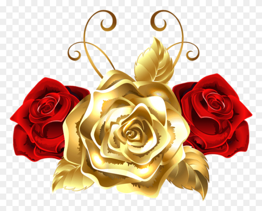 837x662 Png Золотые И Красные Розы Изображения Прозрачные Золотые И Красные Розы, Роза, Цветок, Растение Hd Png