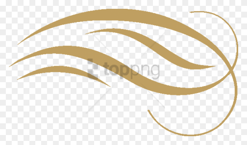 850x473 Free Gold Swirl Design Image With Transparent, Bow, Text, Animal HD PNG Download