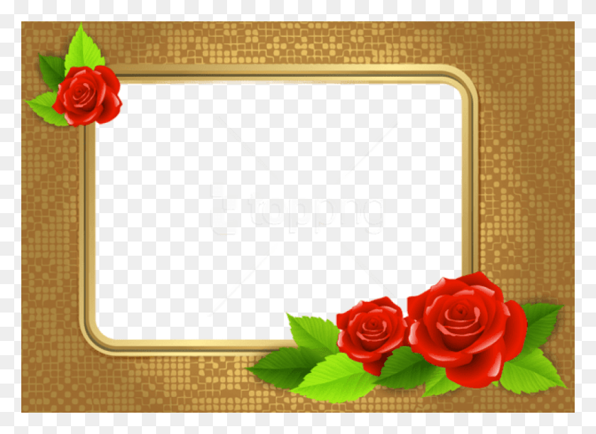 850x601 Free Goldframe With Roses Images Transparent Gold Frame Background, Plant, Rose, Flower HD PNG Download