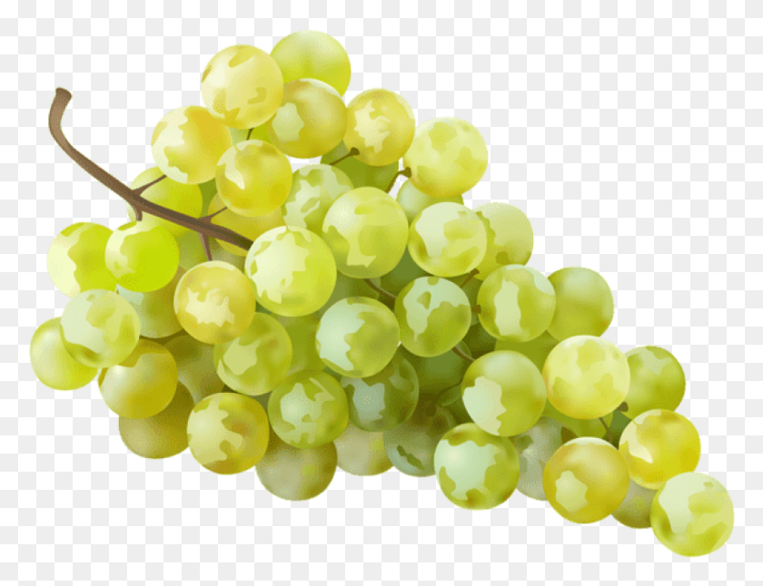 843x634 Free Grape White Transparent Imagens De Frutas Uva, Grapes, Fruit, Plant HD PNG Download