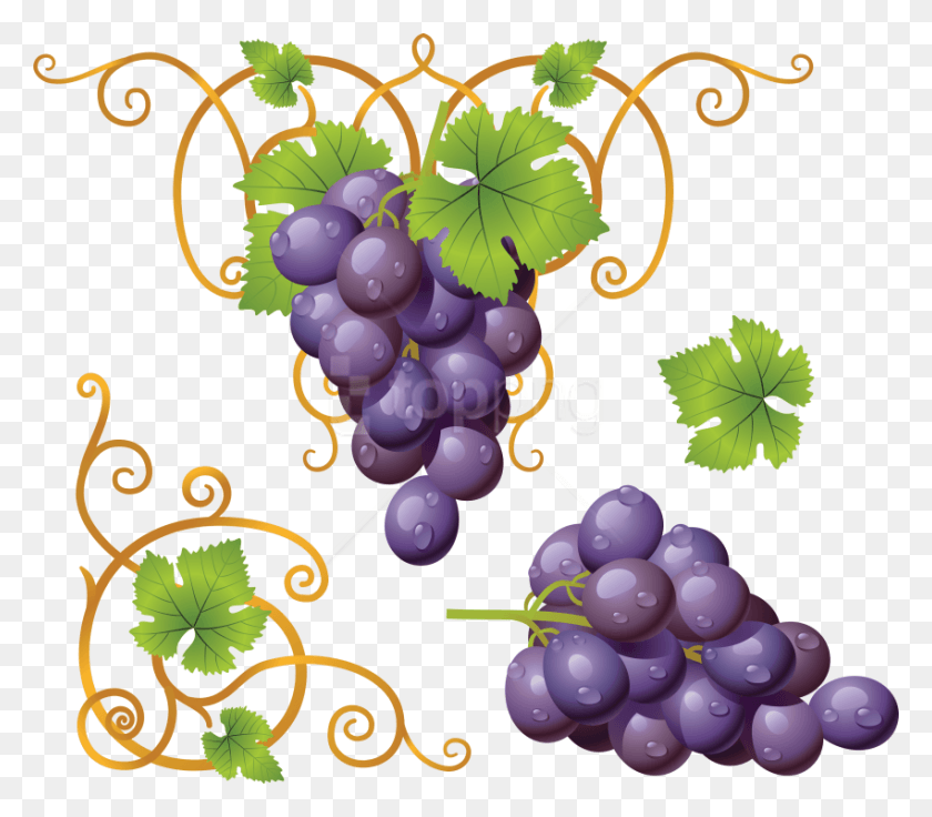850x737 Free Grapes Clipart Photo Images Transparent Grapes Clipart, Plant, Fruit, Food HD PNG Download