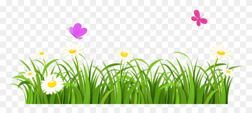 851x349 Free Grass And Butterflies Images Flowers Clipart Transparent Background, Plant, Flower, Blossom HD PNG Download