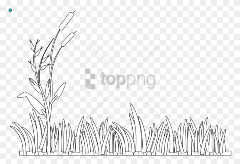 850x564 Free Grass Black And White Image With Transparent Clip Art Grass Black And White, Text, Plant, Handwriting HD PNG Download